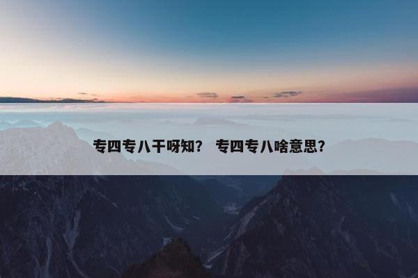 专四专八干呀知？ 专四专八啥意思？