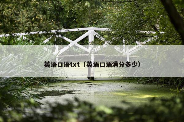 英语口语txt（英语口语满分多少）
