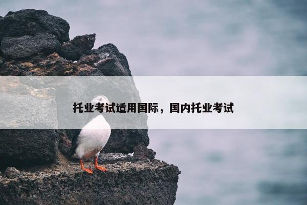 托业考试适用国际，国内托业考试