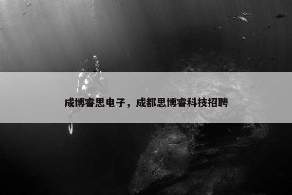 成博睿思电子，成都思博睿科技招聘