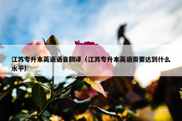 江苏专升本英语语音翻译（江苏专升本英语需要达到什么水平）