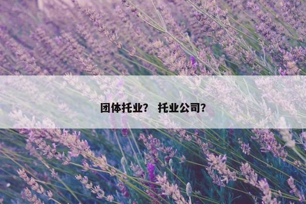 团体托业？ 托业公司？