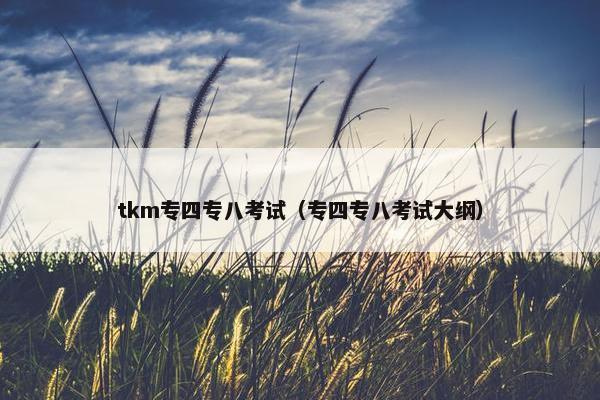 tkm专四专八考试（专四专八考试大纲）