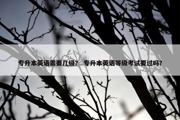 专升本英语需要几级？ 专升本英语等级考试要过吗？
