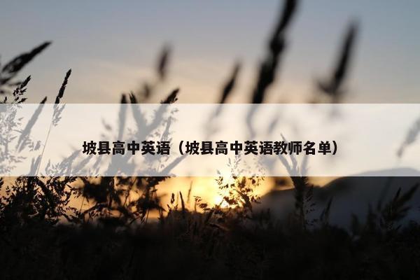 坡县高中英语（坡县高中英语教师名单）