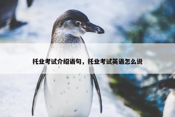 托业考试介绍语句，托业考试英语怎么说