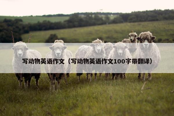 写动物英语作文（写动物英语作文100字带翻译）