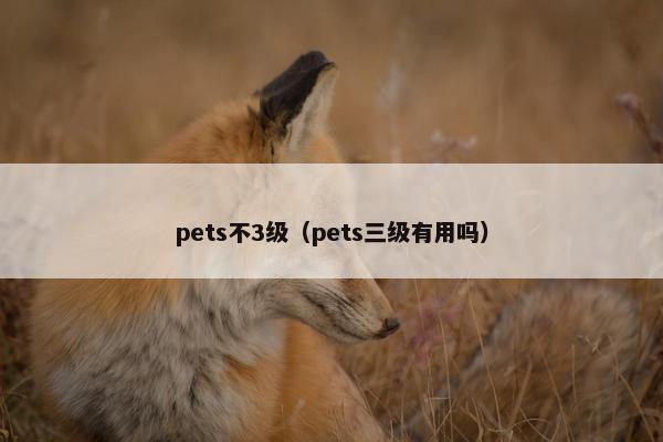 pets不3级（pets三级有用吗）