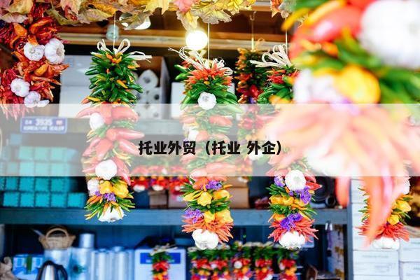 托业外贸（托业 外企）