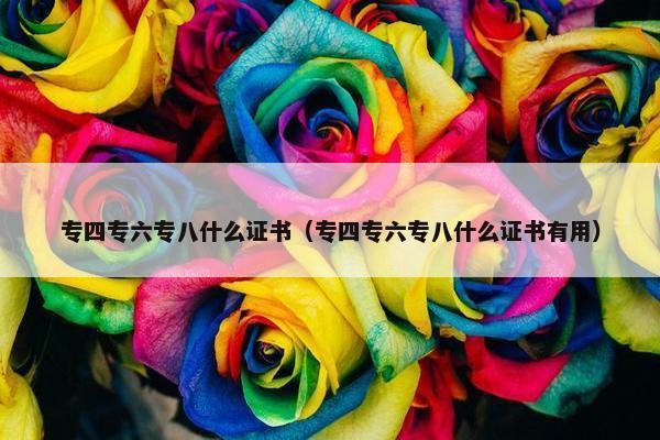 专四专六专八什么证书（专四专六专八什么证书有用）