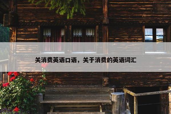 关消费英语口语，关于消费的英语词汇
