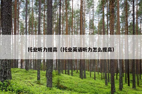 托业听力提高（托业英语听力怎么提高）