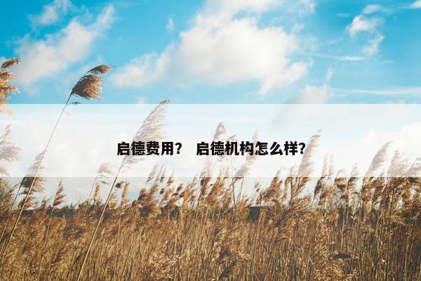 启德费用？ 启德机构怎么样？