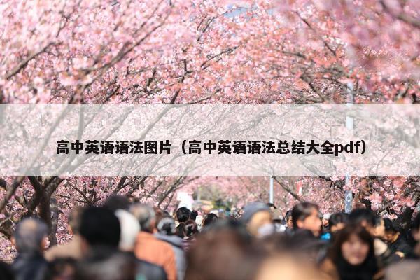 高中英语语法图片（高中英语语法总结大全pdf）