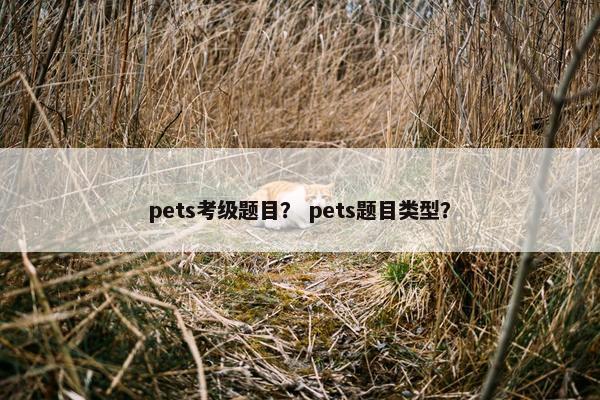 pets考级题目？ pets题目类型？