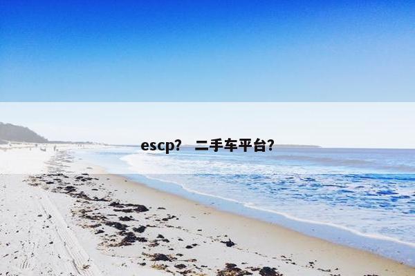 escp？ 二手车平台？