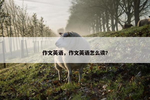作文英语，作文英语怎么读?