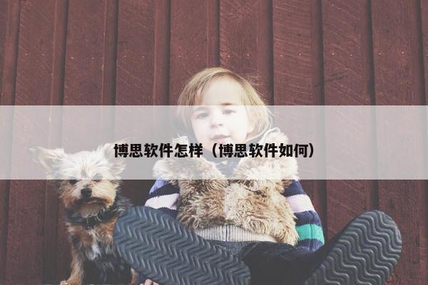 博思软件怎样（博思软件如何）