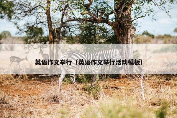 英语作文举行（英语作文举行活动模板）
