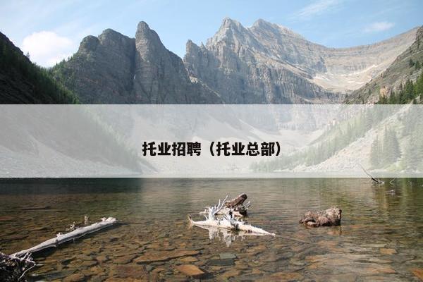 托业招聘（托业总部）