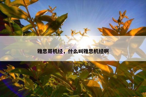 雅思哥机经，什么叫雅思机经啊