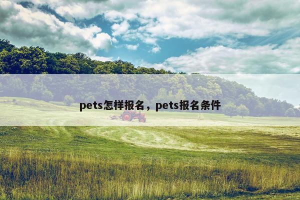 pets怎样报名，pets报名条件
