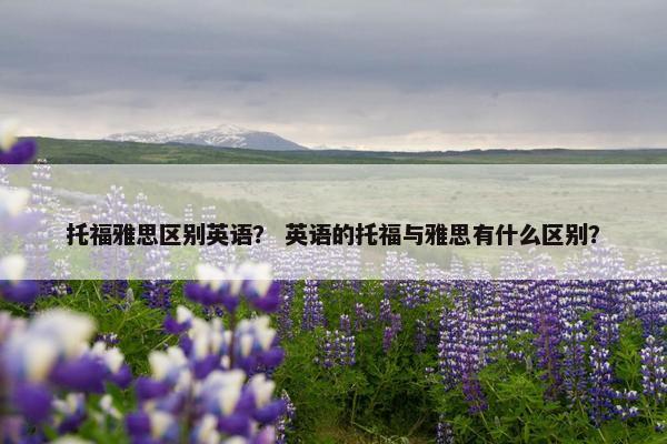 托福雅思区别英语？ 英语的托福与雅思有什么区别？
