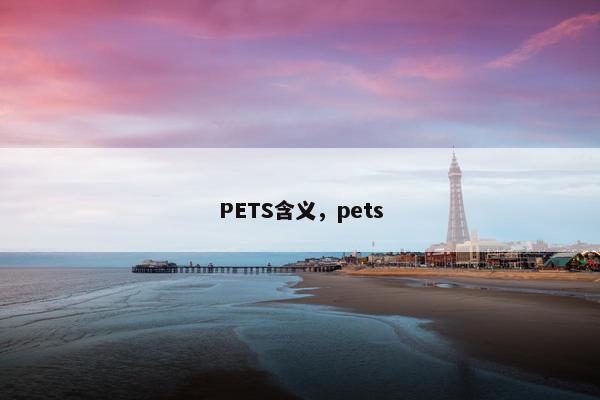PETS含义，pets