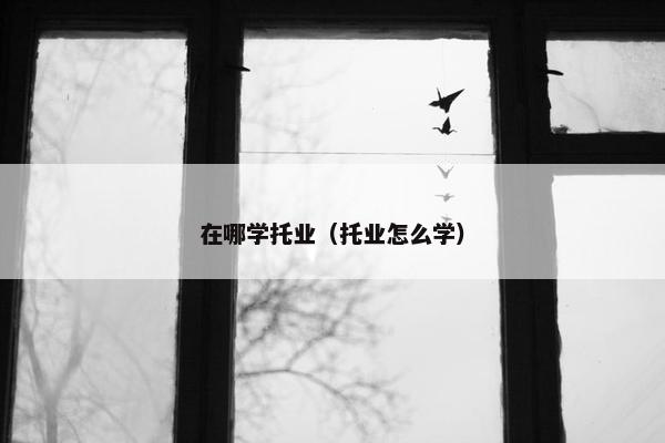 在哪学托业（托业怎么学）