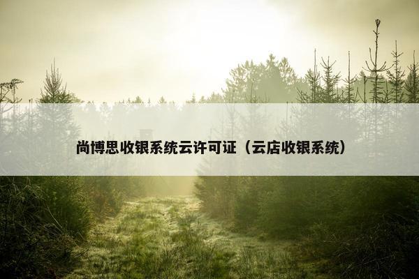 尚博思收银系统云许可证（云店收银系统）
