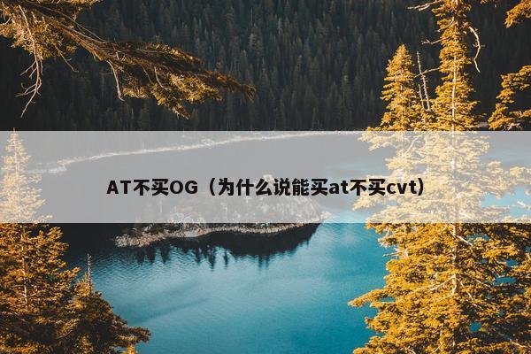 AT不买OG（为什么说能买at不买cvt）