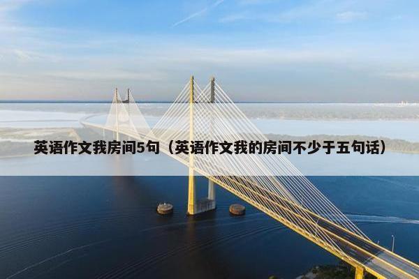 英语作文我房间5句（英语作文我的房间不少于五句话）