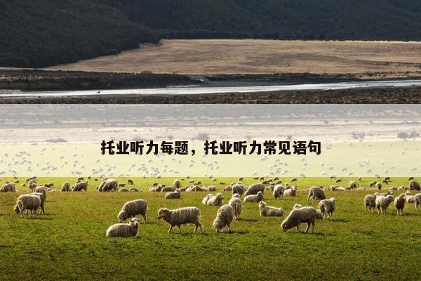 托业听力每题，托业听力常见语句