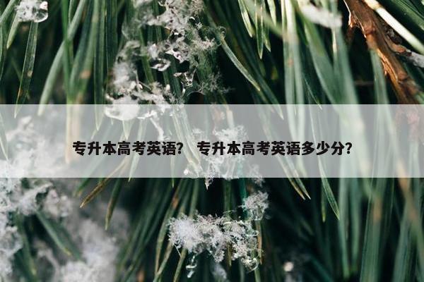 专升本高考英语？ 专升本高考英语多少分？