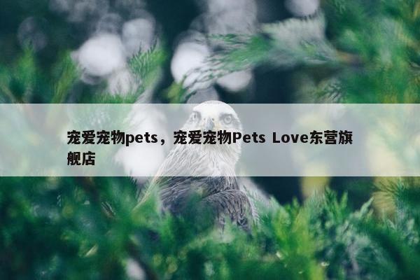 宠爱宠物pets，宠爱宠物Pets Love东营旗舰店