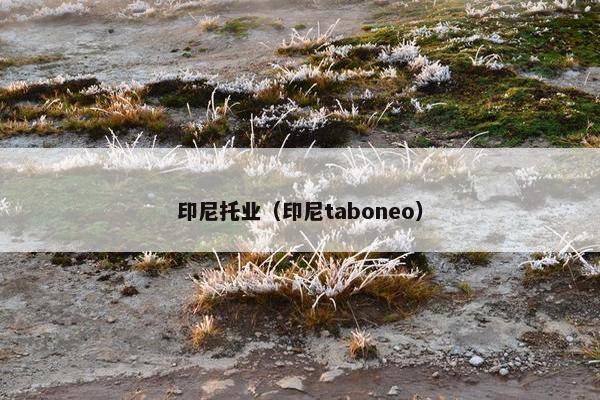印尼托业（印尼taboneo）