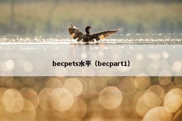 becpets水平（becpart1）