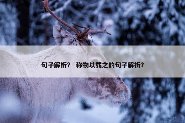 句子解析？ 称物以载之的句子解析？