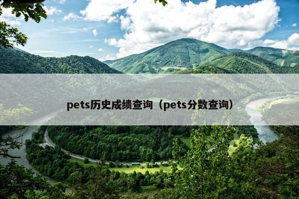 pets历史成绩查询（pets分数查询）