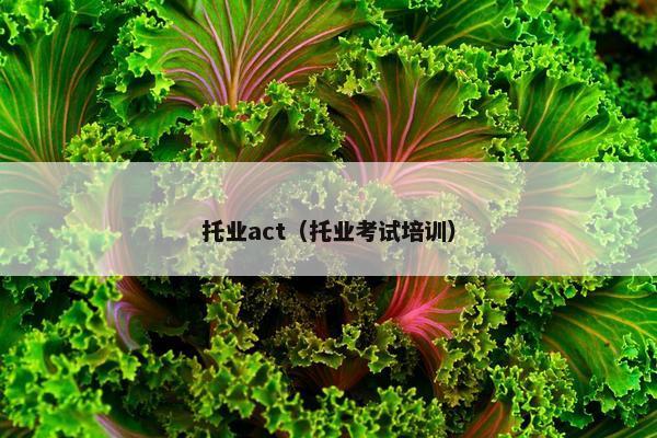 托业act（托业考试培训）