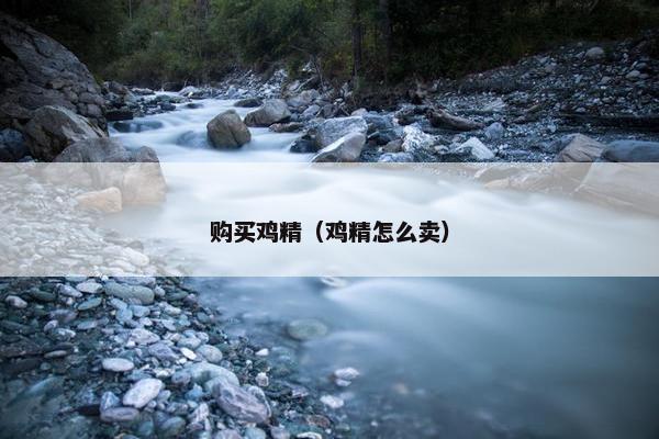 购买鸡精（鸡精怎么卖）