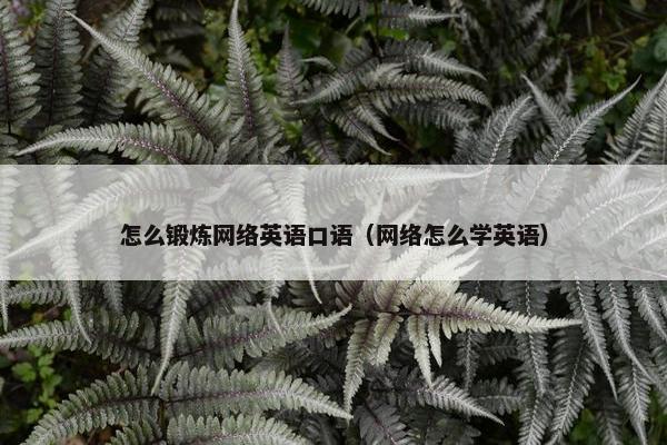怎么锻炼网络英语口语（网络怎么学英语）