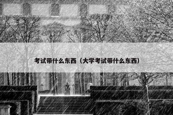 考试带什么东西（大学考试带什么东西）