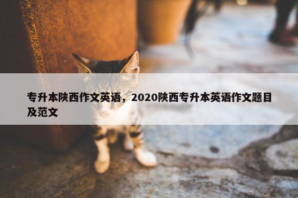 专升本陕西作文英语，2020陕西专升本英语作文题目及范文