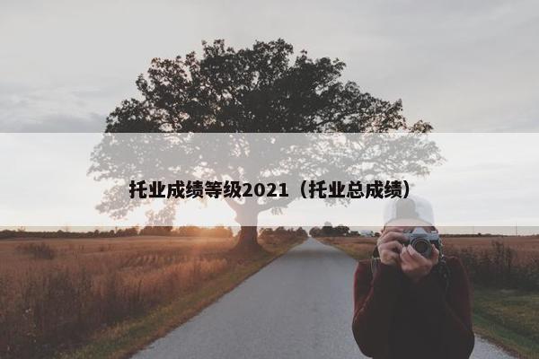 托业成绩等级2021（托业总成绩）
