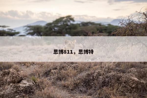 思博811，思博特