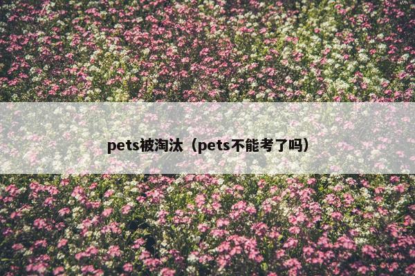 pets被淘汰（pets不能考了吗）