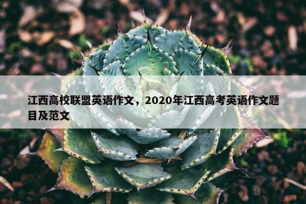 江西高校联盟英语作文，2020年江西高考英语作文题目及范文