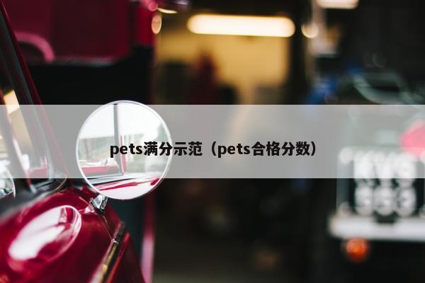 pets满分示范（pets合格分数）