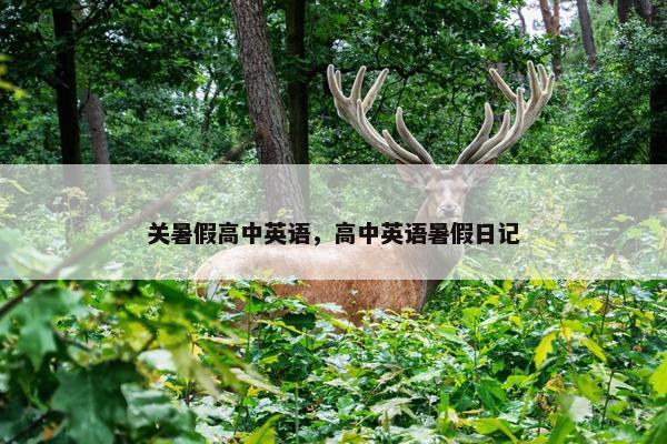 关暑假高中英语，高中英语暑假日记